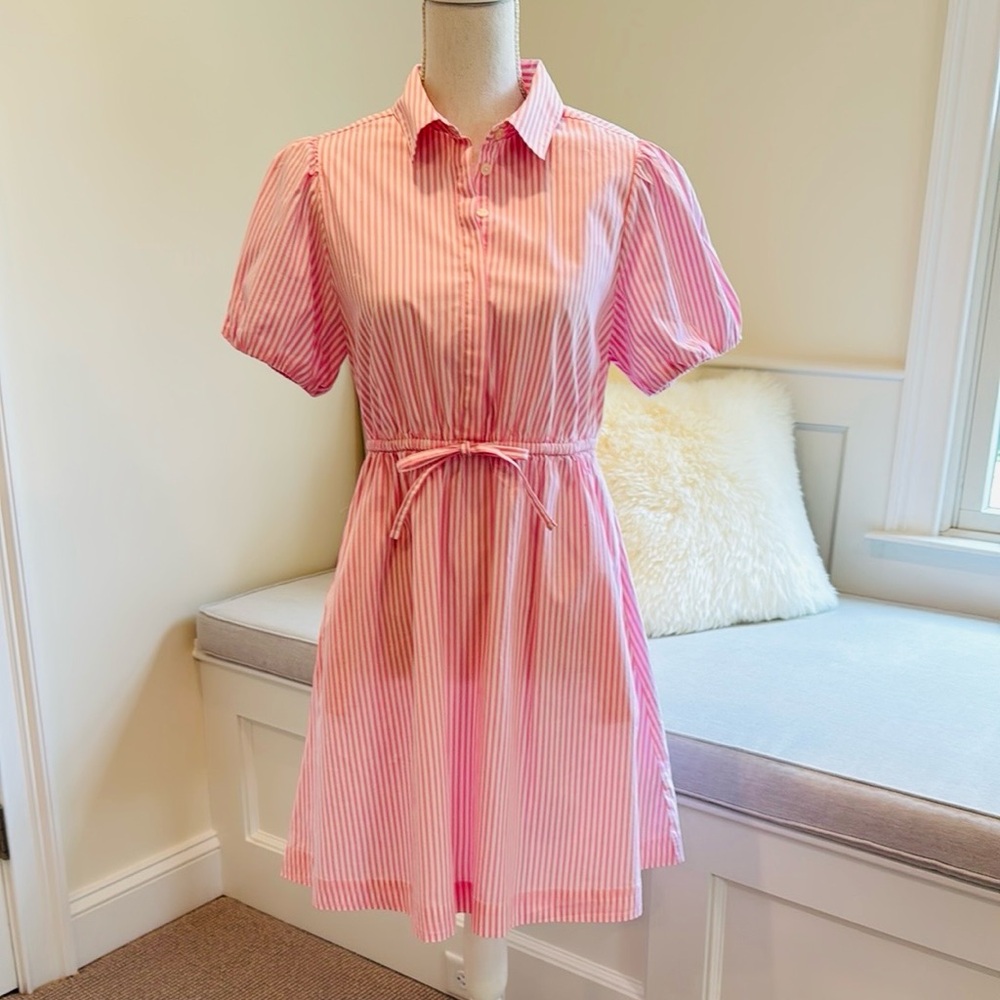 J. Crew Pink Striped Mini Dress